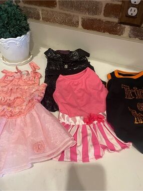 Adorable Small Dog Girl Outfits